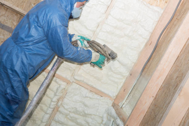 Professional Insulation in Fritch, TX